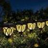 Solar Lights Outdoor Waterproof Led Lights